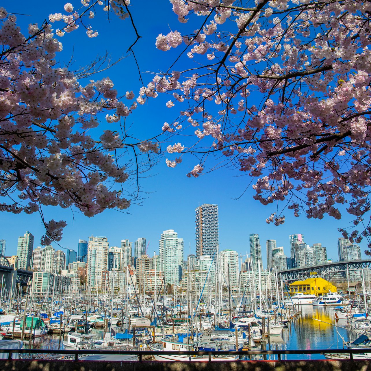 Vancouver Guided Bus Tour with Stanley Park Walking Tour - Accommodations in Vancouver