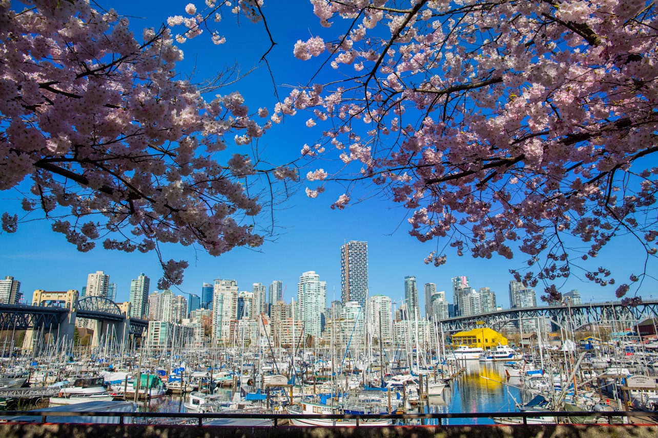 Vancouver Guided Bus Tour with Stanley Park Walking Tour - Accommodations in Vancouver