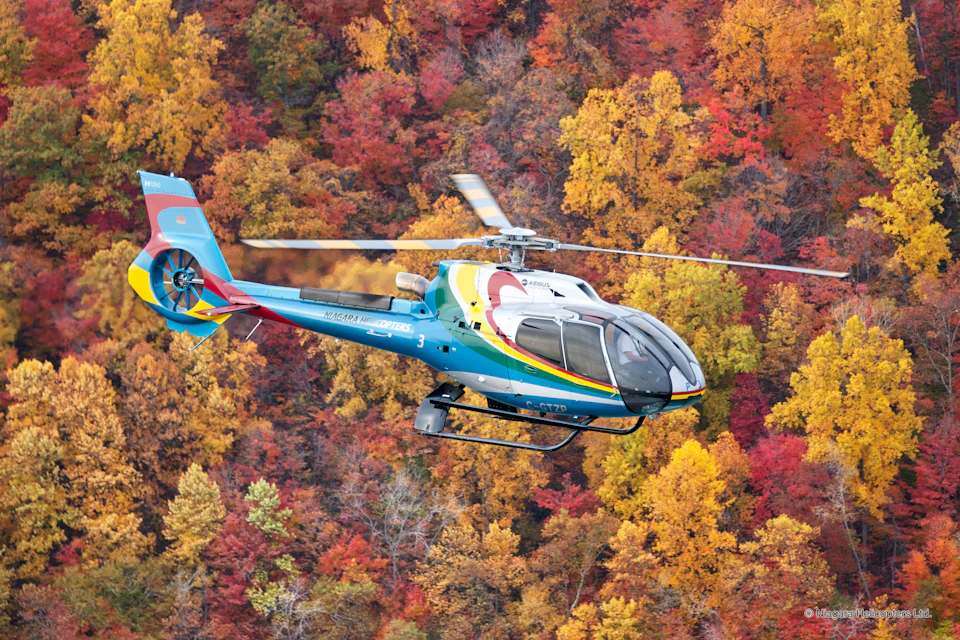 A colorful helicopter flies above a forest with vibrant autumn foliage in shades of red, orange, and yellow.
