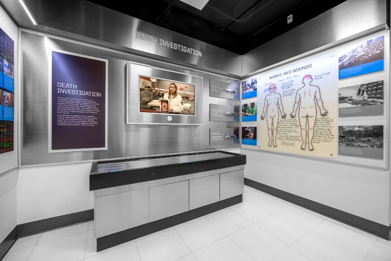 A modern exhibit room labeled "Death Investigation" featuring informative panels, displays, and a monitor showing a woman in a lab.