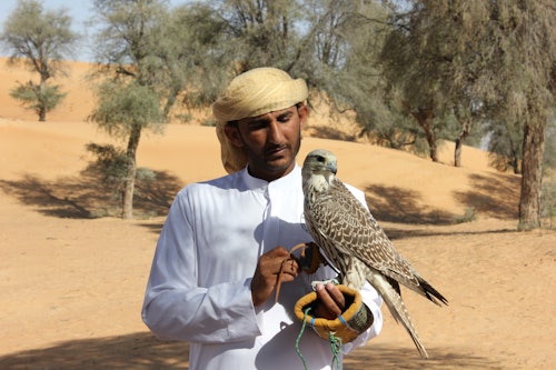 Dubai Morning Safari: Falconry and Luxury Breakfast