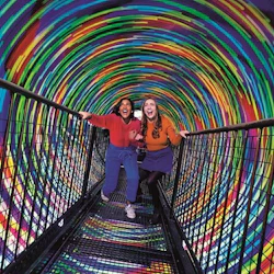 Edinburgh: Harry Potter Sites Tour + House of Illusions Experience