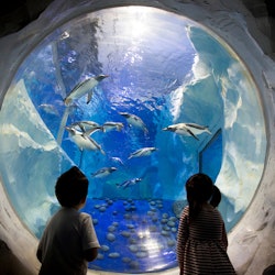 Tickets, museos, atracciones,