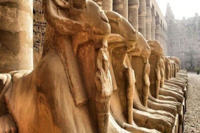 Pharaonic sheep statue