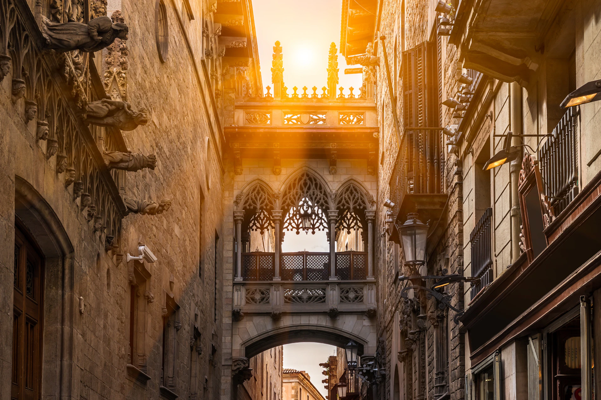 Barcelona Gothic Quarter Evening Tour and Flamenco