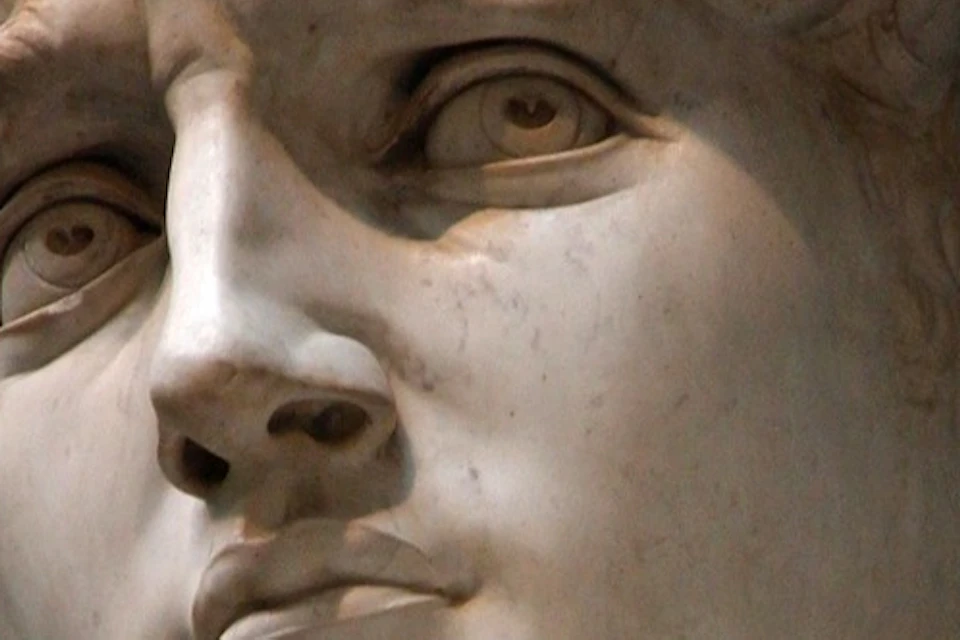 david