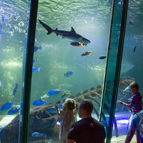 SEA LIFE Hunstanton: bilhete de entrada - Photo 4