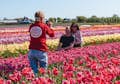 Posando en un campo de tulipanes