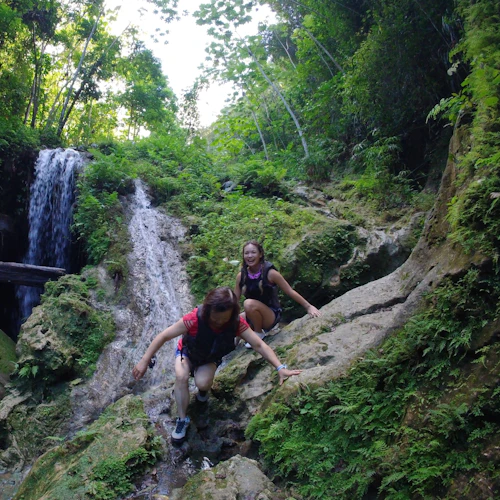 Floresta de Vega Baja: Caminhada guiada para cavernas e cachoeira - Photo 4