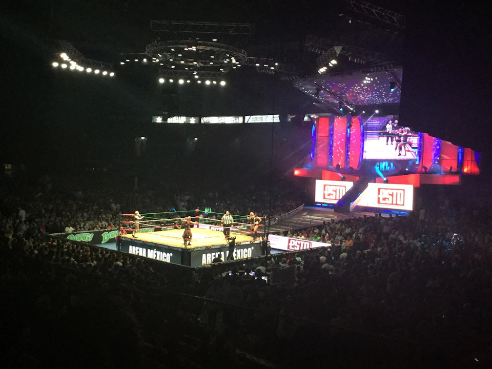 Wrestling