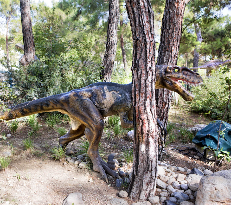 A life-sized dinosaur statue in a forested area, partially concealed behind trees and surrounded by rocks and vegetation.