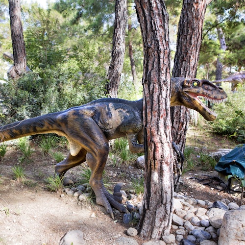 Dinopark Antalya: Entrada