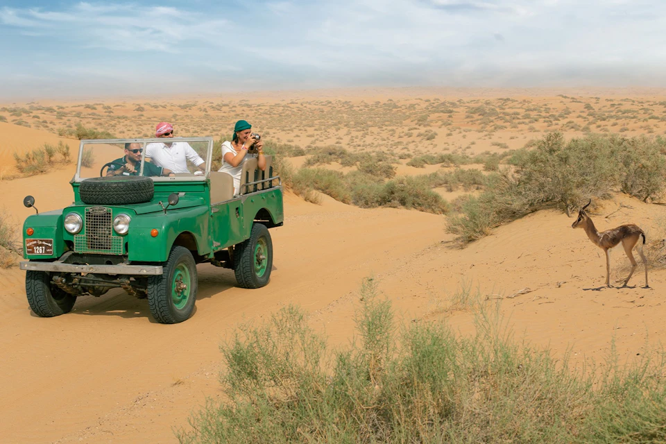 Bedouin Culture Safari