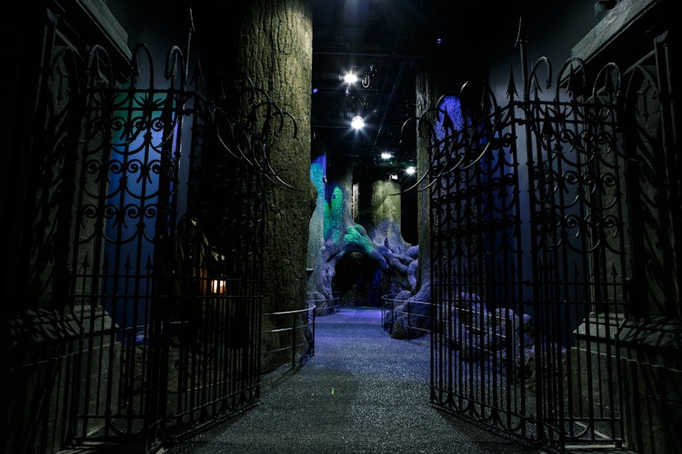 Harry Potter Warner Bros Studio: Bələdçili Studiya Turu + Londondan Nəqliyyat Bilet - 14