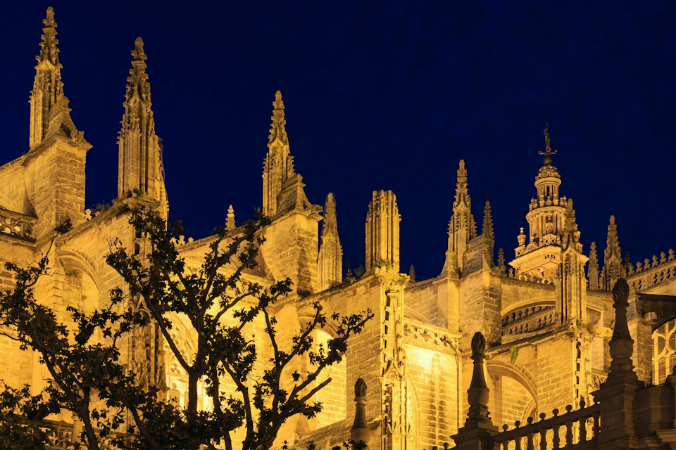 Illuminated Gothic cathedral spires at night, framed by tree branches under a deep blue sky.