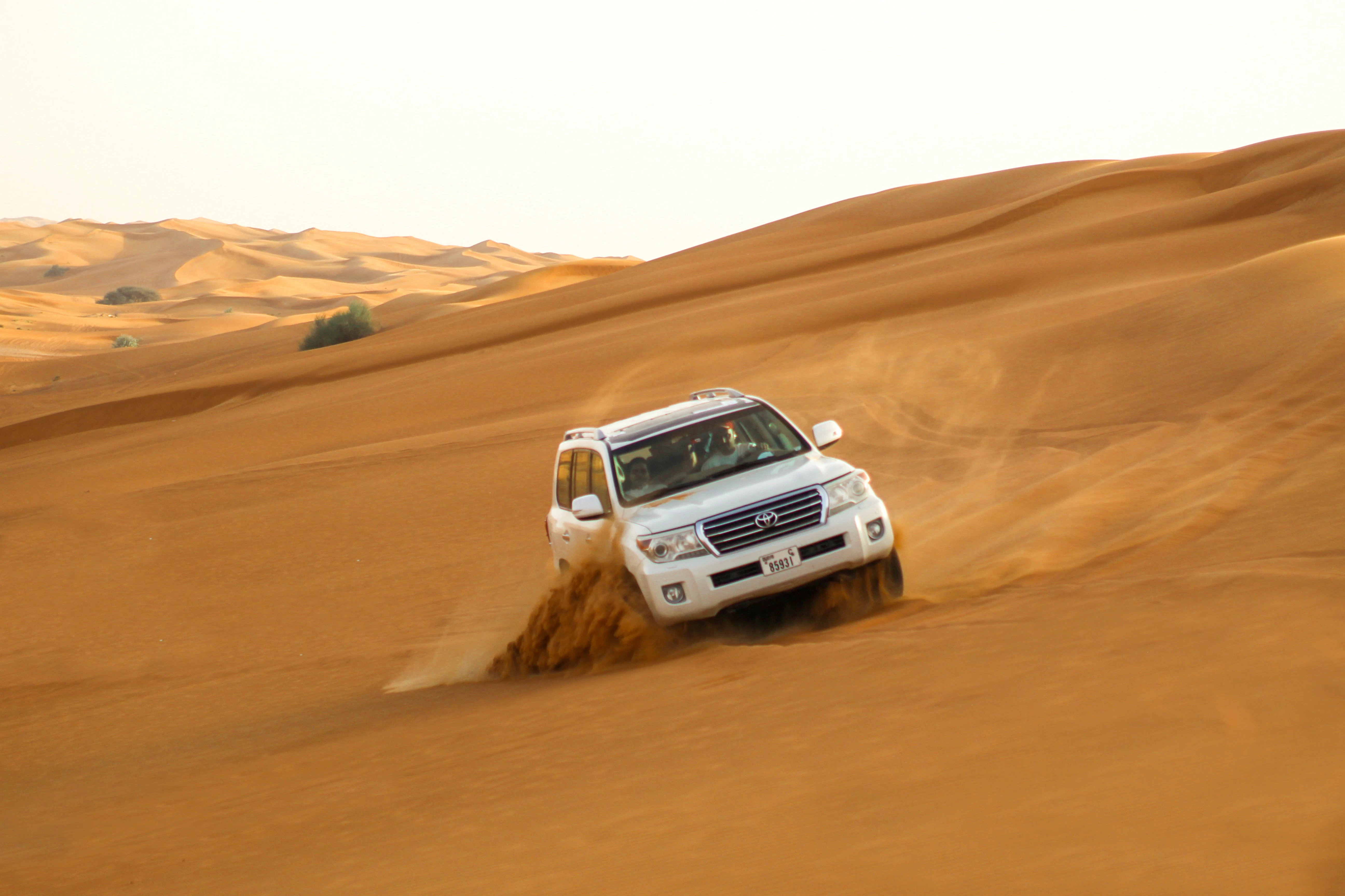 Burj Khalifa + Desert Safari