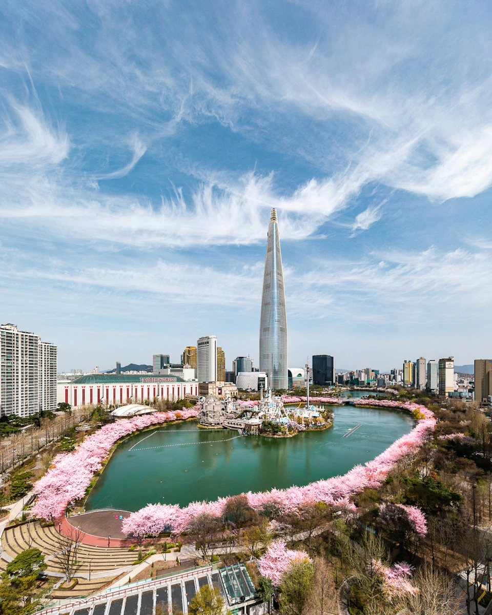 A tall modern skyscraper stands near a lake surrounded by pink cherry blossoms, with city buildings in the background.