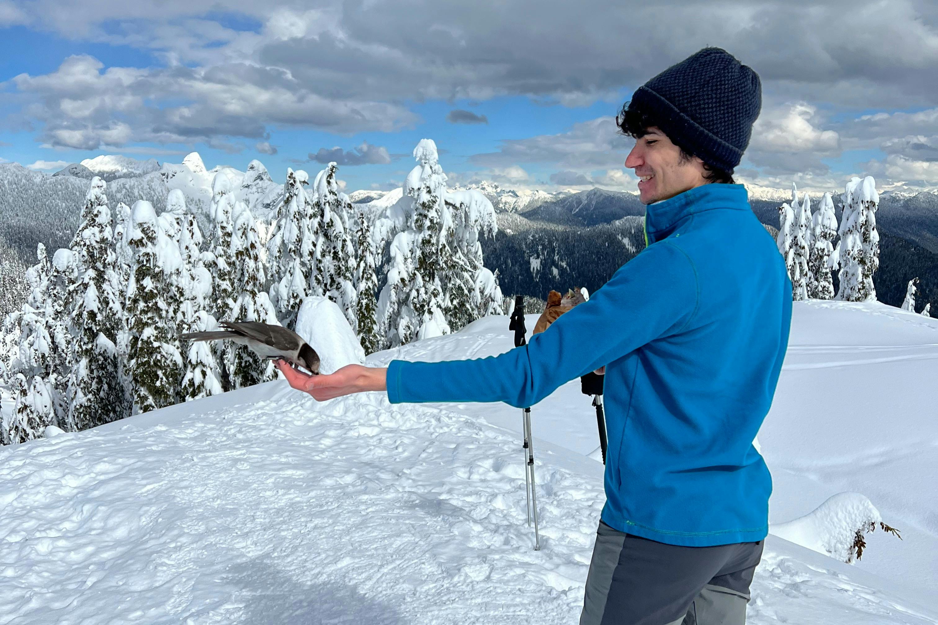 在山上结交朋友。