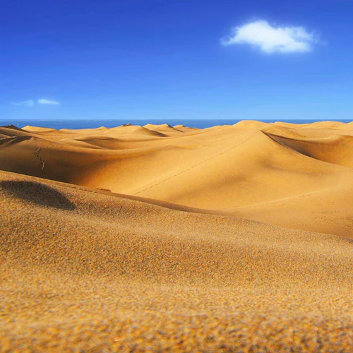 Southwestern Gran Canaria: Guided Tour + Transfers - Photo 8