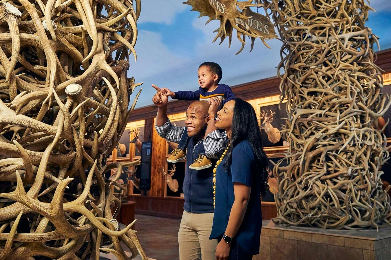 Wonders of Wildlife National Museum & Aquarium: Entry Ticket 2