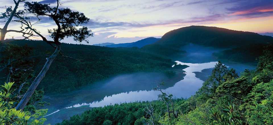Taipingshan National Forest Recreation Area: Entry Ticket