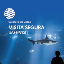 Lissabon Oceanarium poster med en haj och en person silhuett mot en undervattensutställning med texten "Visita Segura / Safe Visit."
