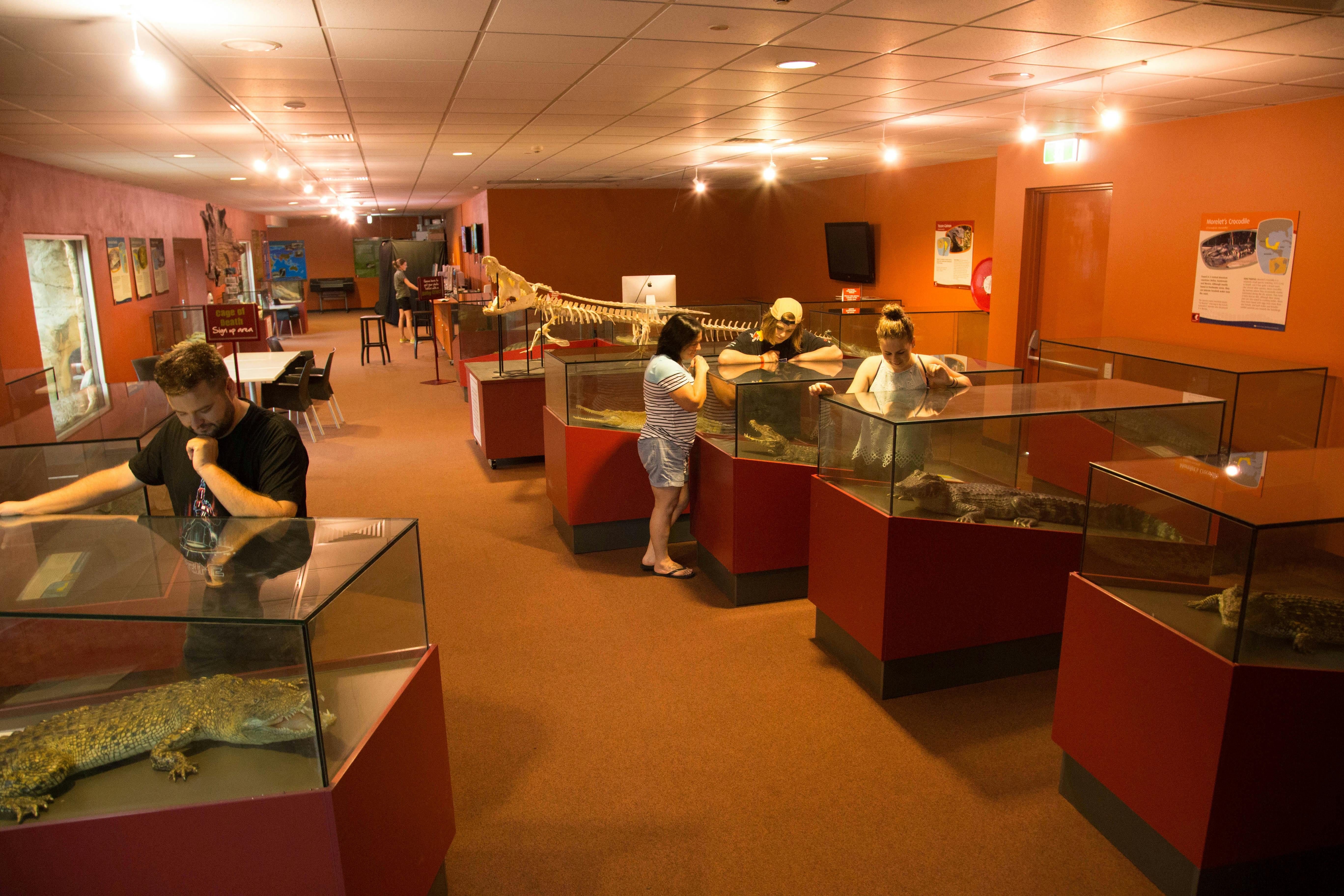 Människor som observerar utställningar i ett svagt upplyst museum med glasfodral och ett stort dinosaurieskelett i bakgrunden.