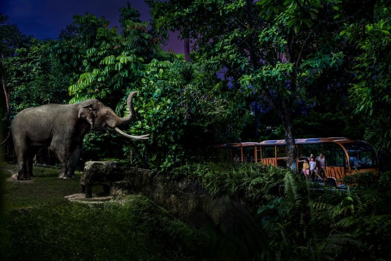 Safari nocturno de Singapur con trayecto en tranvía