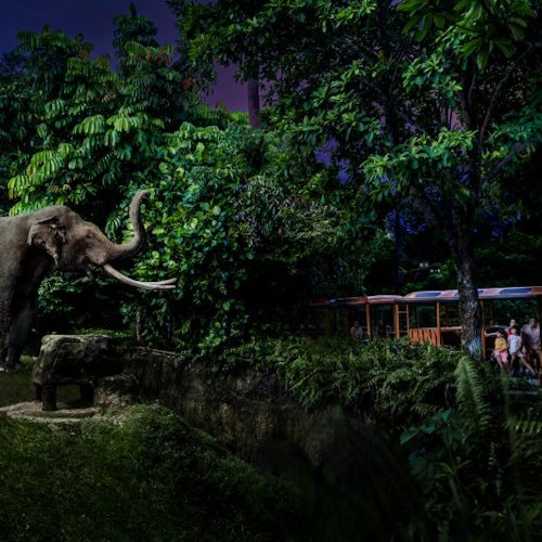 Safari nocturno de Singapur con trayecto en tranvía