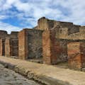 Naples et Pompéi : excursion intelligente d'une journée au départ de Rome