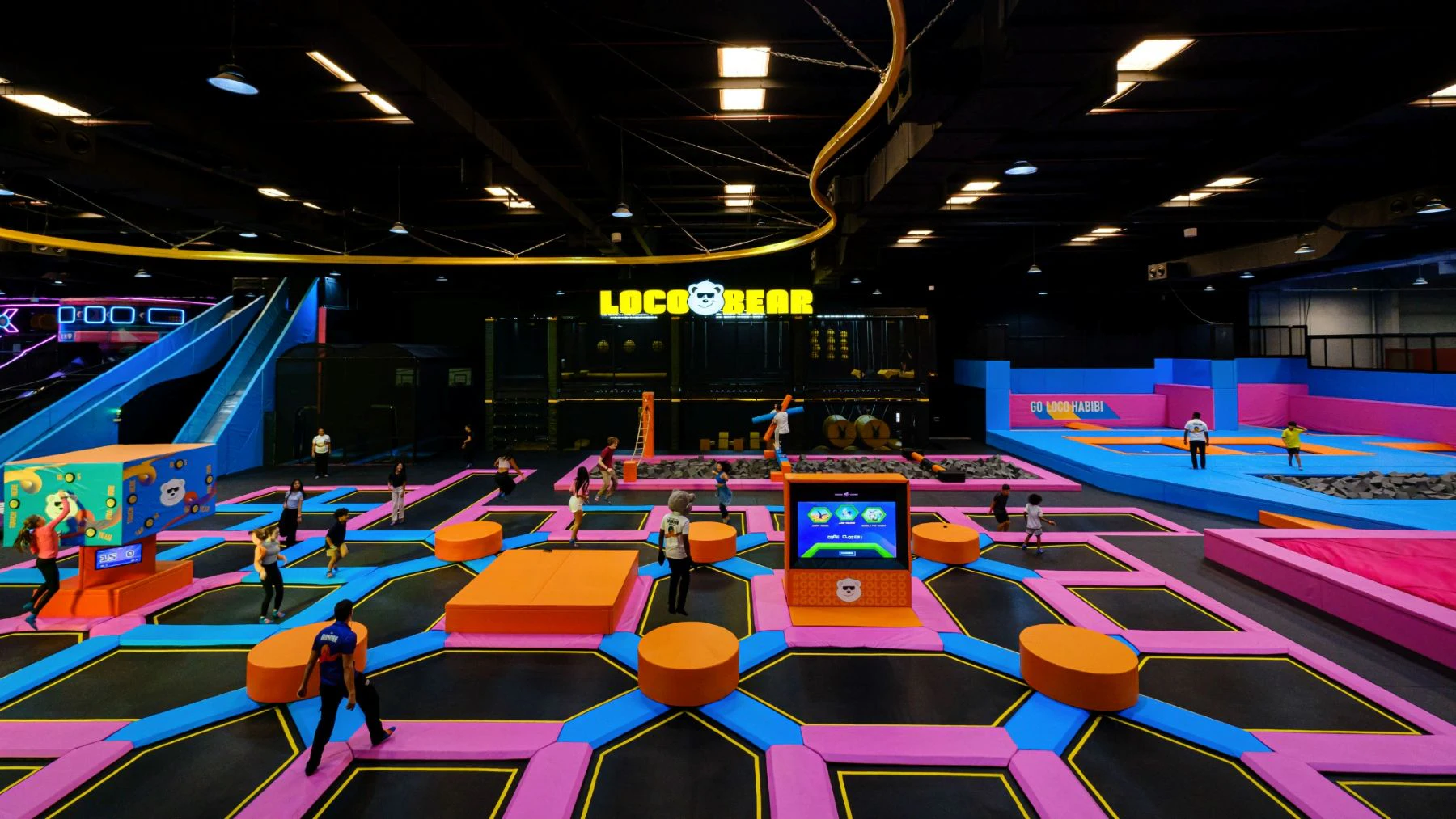 Loco Bear - The Ultimate Entertainment Hub: Entry Ticket