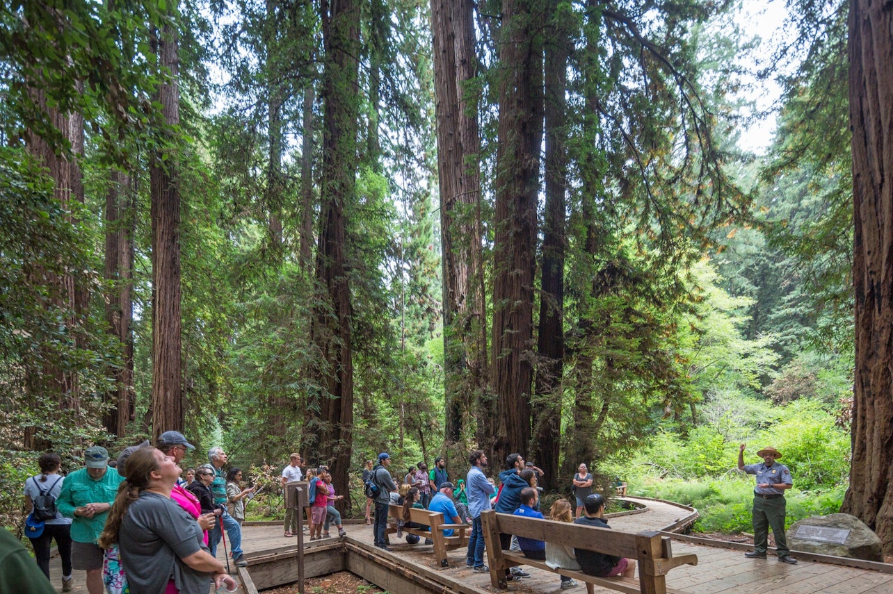 Muir Woods, Sausalito e crociera nella baia: Tour di un giorno da San Francisco - Alloggi in San Francisco