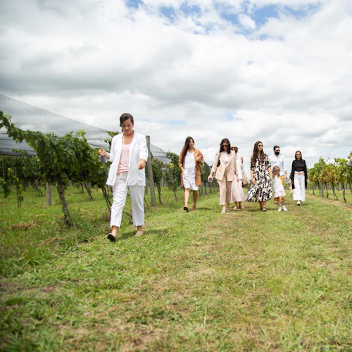 Bodega Gamboa: Guided Winery Tour from Buenos Aires + 5-Course Lunch