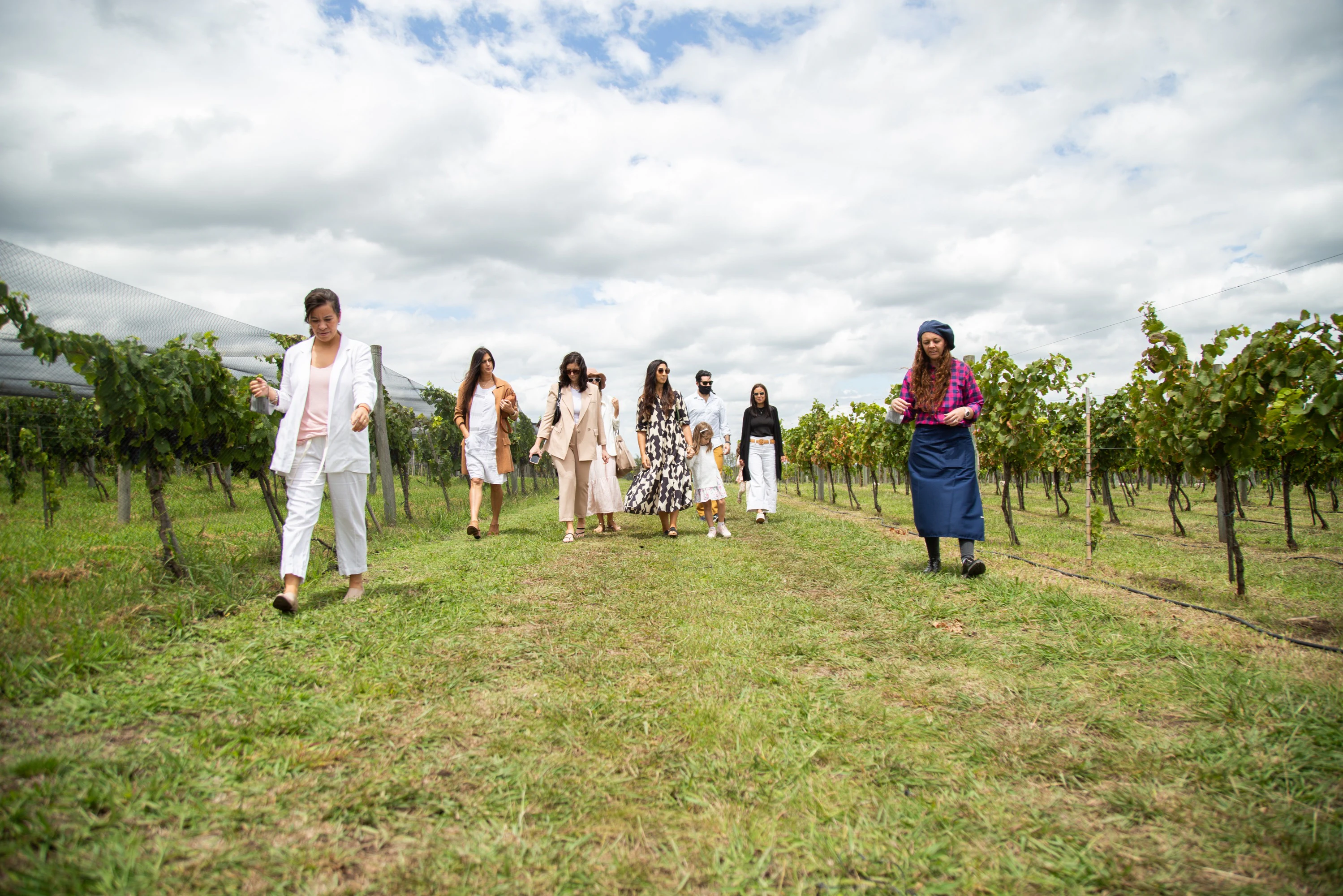 Bodega Gamboa: Guided Winery Tour from Buenos Aires + 5-Course Lunch