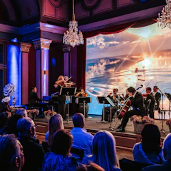 Vienna: House of Strauss Museum Entry + Live Concert + Glass of Wine 4