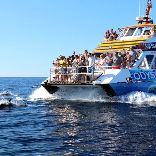Morro Jable: Glass-Bottom Boat Tour + Lunch - Photo 4