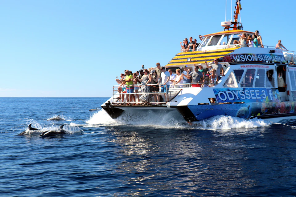 Glass Bottom Boat