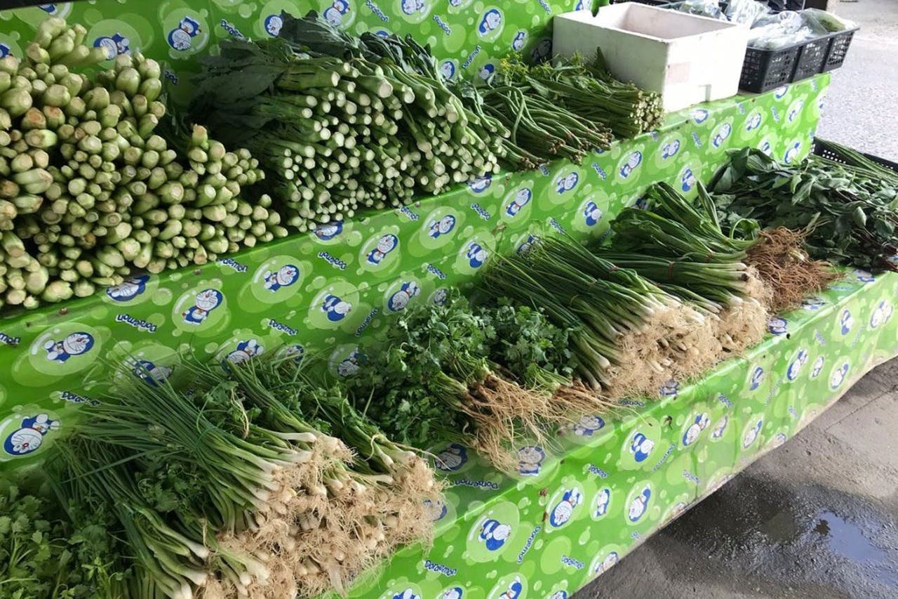 市場を散策して新鮮な野菜を選びましょう。