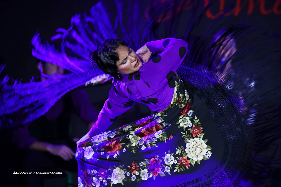 Tablao Flamenco Alma show