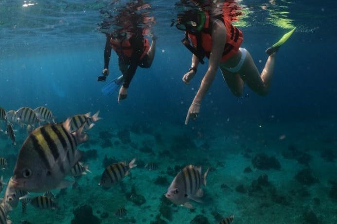 Los Cabos: tour in barca con fondo trasparente — 2