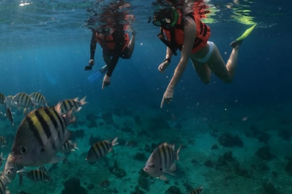 Two snorkelers in life vests pointing at striped fish underwater in a clear sea with coral and rocks visible below.