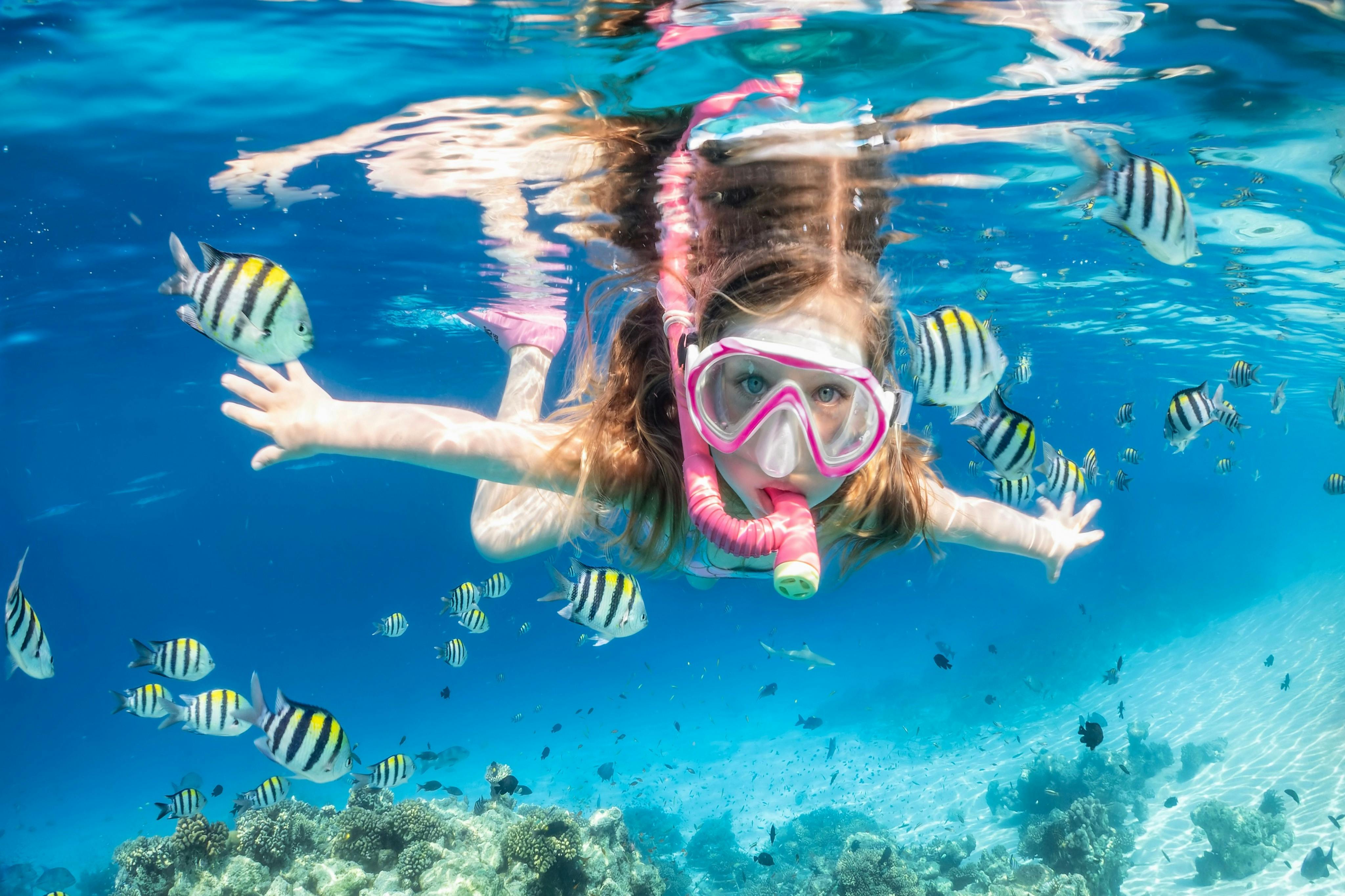 Isola di Giftun: Tour guidato di snorkeling da Hurghada + pranzo e bevande — 8