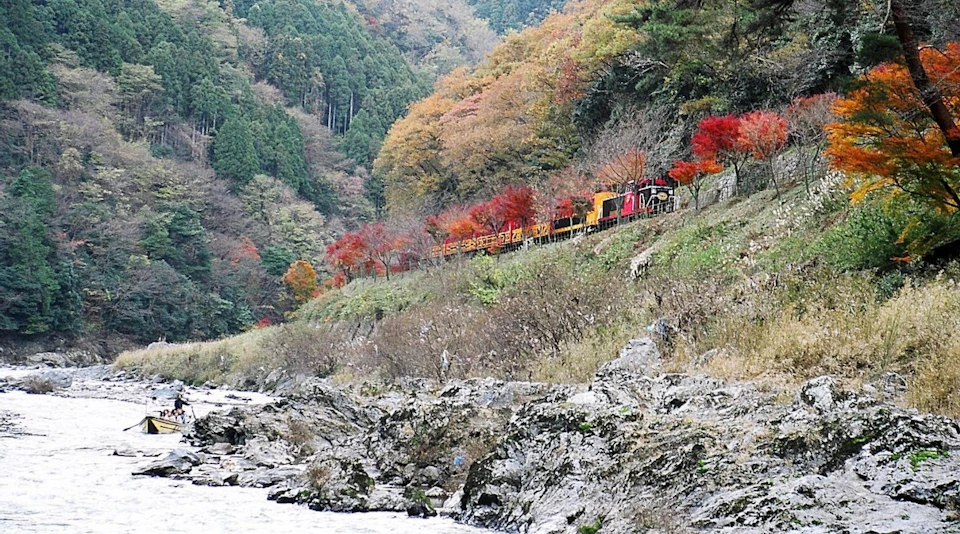 A train passes through a forested hillside with autumn-colored trees, near a rocky riverbed.