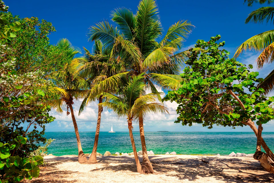 Key West Day Trip & Parasailing Adventure