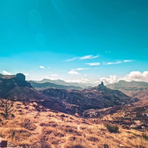 Gran Canaria: Guided Volcano Tour + Local Products Tasting + Roundtrip Transfer - Photo 16