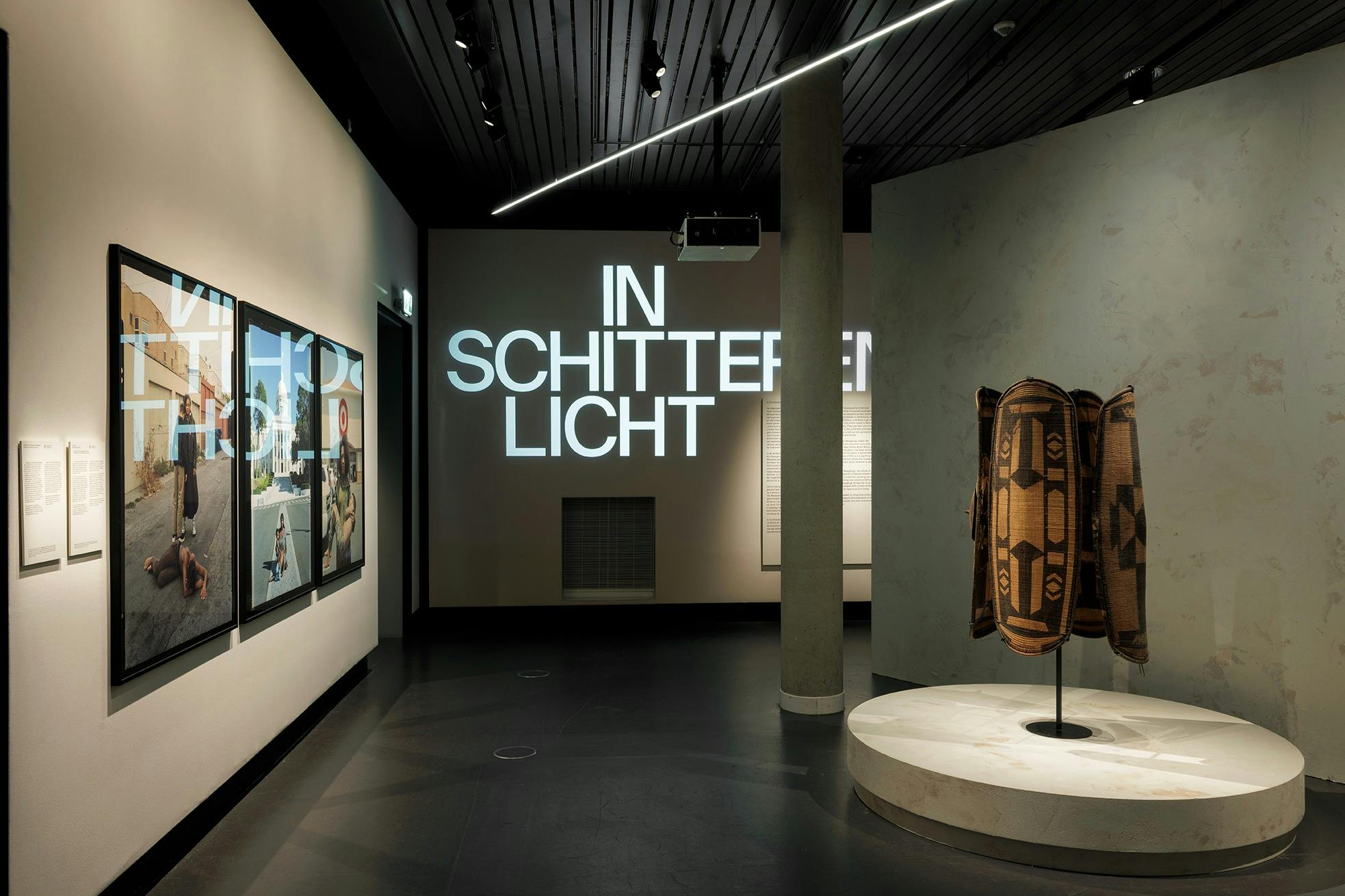 在明亮的光线下