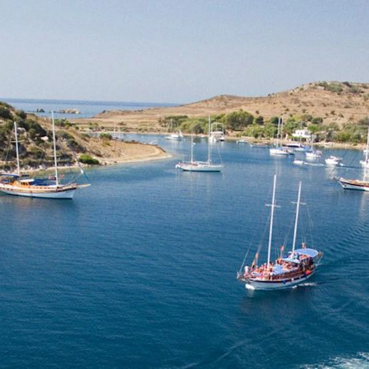 Several sailboats are on calm blue waters near a hilly coast with sparse vegetation.