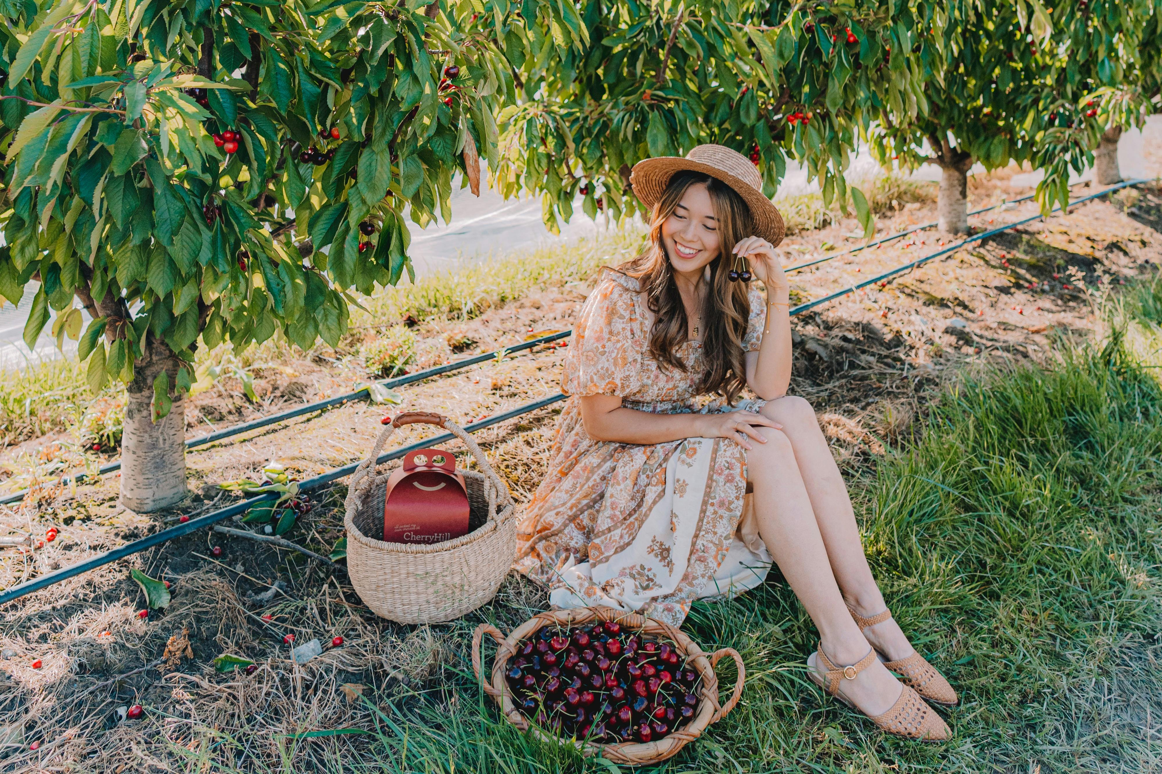 A woman in a floral dress and straw hat sitting on grass near a cherry tree, with baskets of cherries beside her.