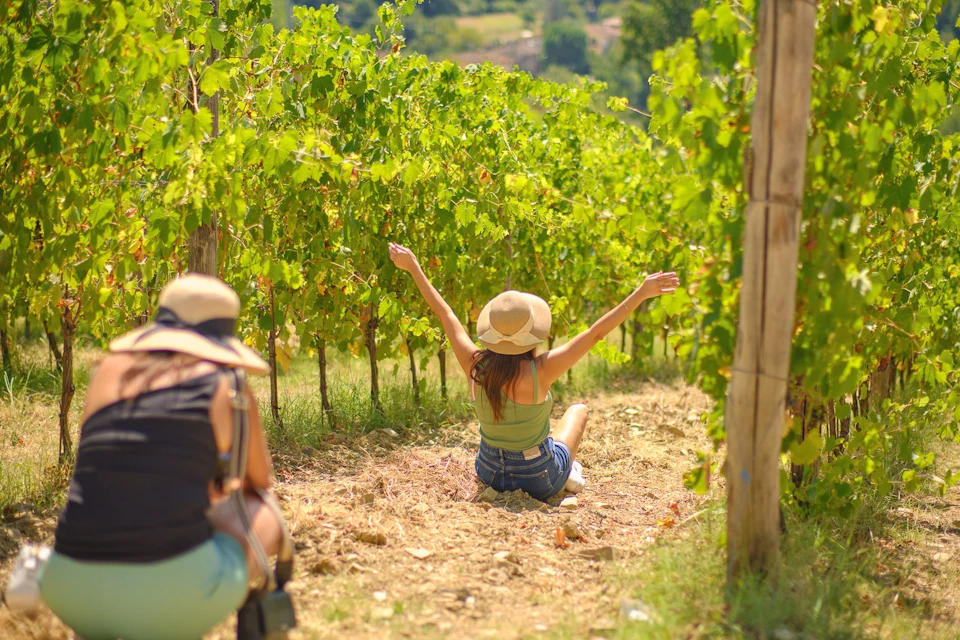 Vine