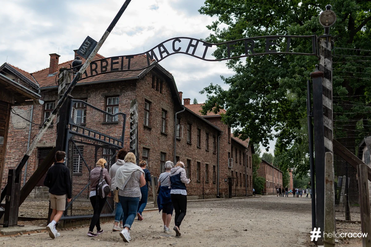 Auschwitz-Birkenau: tour guiado + transporte